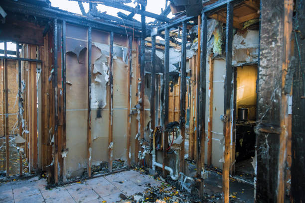 Professional Soot Cleanup technician working in Highland Heights, OH